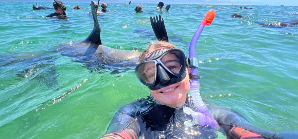 Seal Snorkelling Adventure